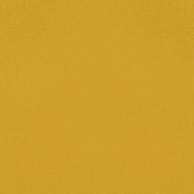 Rasch Amazing 531442