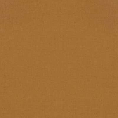Rasch Amazing 531466