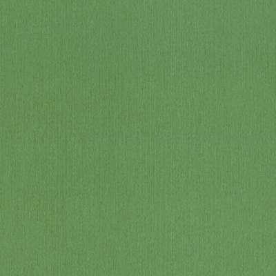 Rasch Barbara XL 800562
