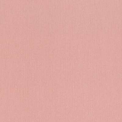 Rasch Barbara XL 800593