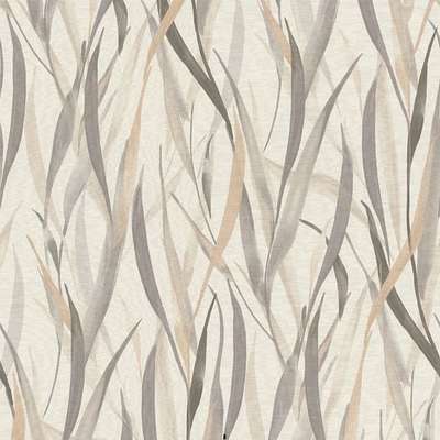 Rasch Paraiso&nbsp; 330205