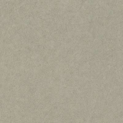 Rasch Trend 947410