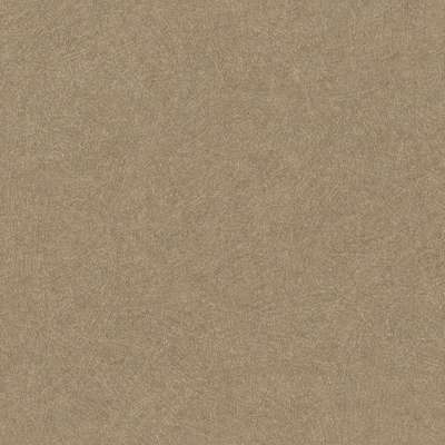Rasch Trend 947434