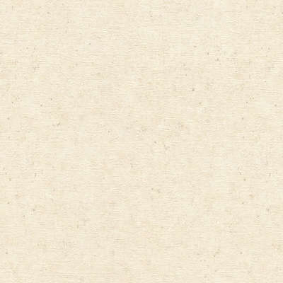 Rasch Trend 974218