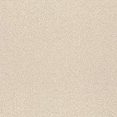 Rasch Trend 975314