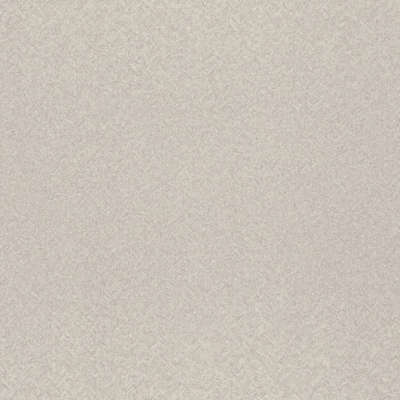 Rasch Trend 975321