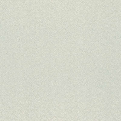 Rasch Trend 975338