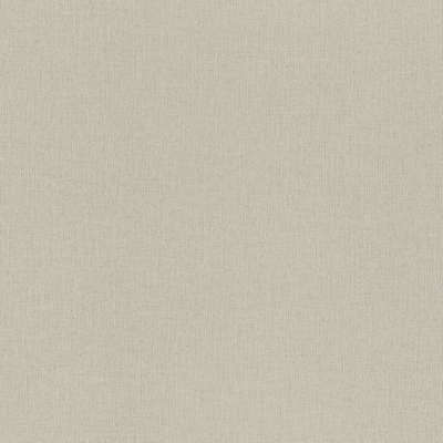 Rasch Trend 975505