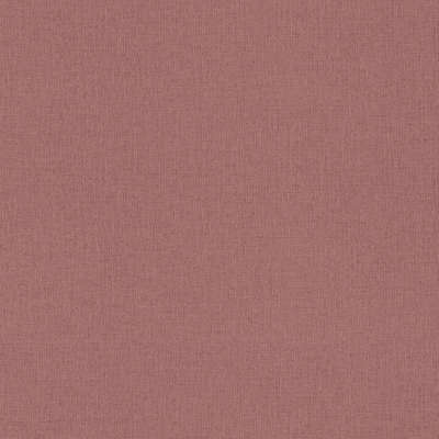Rasch Trend 975604
