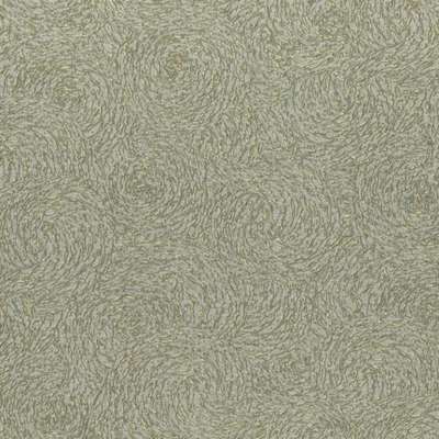 Rasch Varvara 920437