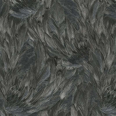 Roberto Cavalli Roberto Cavalli 9 RC21001