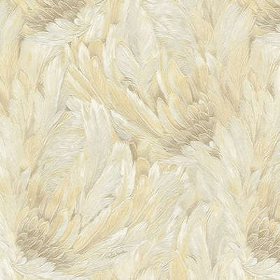 Roberto Cavalli Roberto Cavalli 9 RC21004