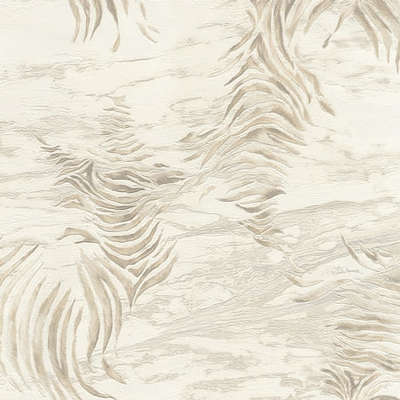 Roberto Cavalli Roberto Cavalli 9 RC21012