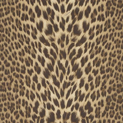 Roberto Cavalli Roberto Cavalli 9 RC21041