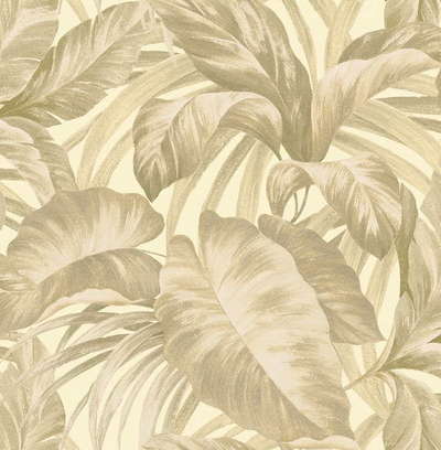 Seabrook Ainsley AE30207