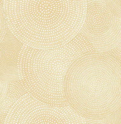 Seabrook Ainsley AE30401