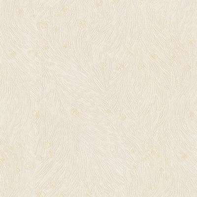 Studio Italia Collection Tesoro TS10017