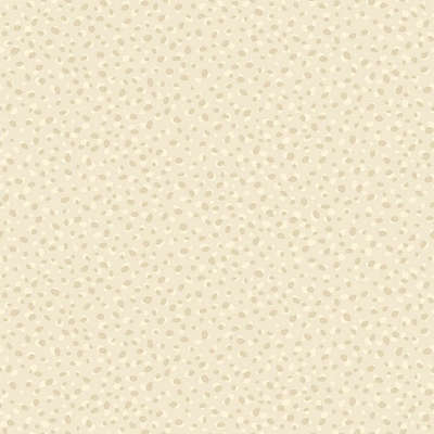 Studio 465 Valencia 1920803