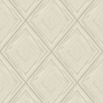 Studio 465 Valencia 1921326