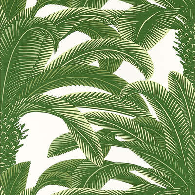 Thibaut Palm Grove T13907