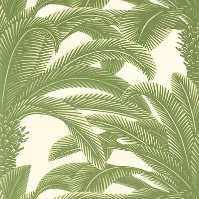 Thibaut Palm Grove T13911