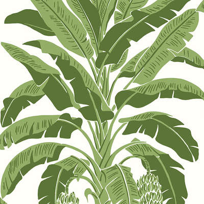 Thibaut Palm Grove T13914
