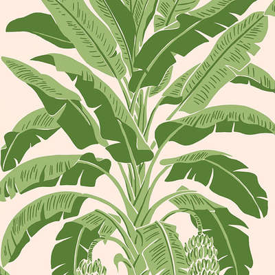 Thibaut Palm Grove T13917