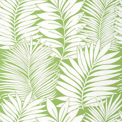 Thibaut Palm Grove T13927