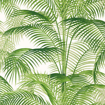 Thibaut Palm Grove T13938
