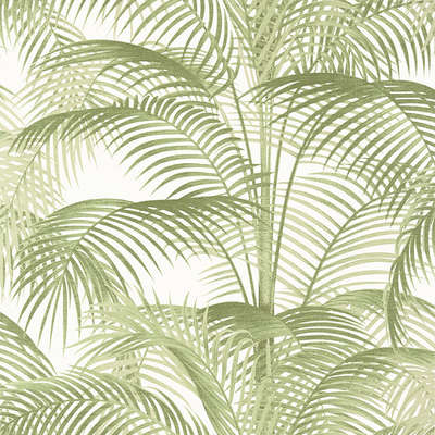 Thibaut Palm Grove T13939