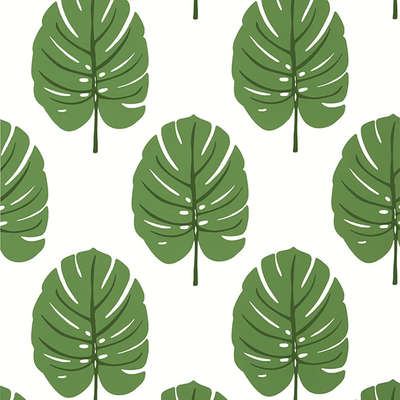 Thibaut Palm Grove T13952 
