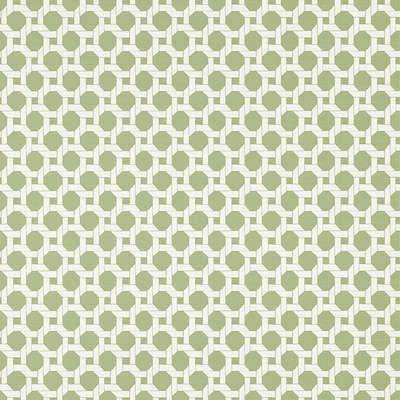 Thibaut Palm Grove T13959