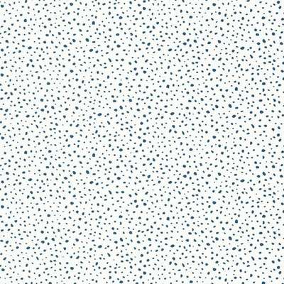 Thibaut Summer House T13151