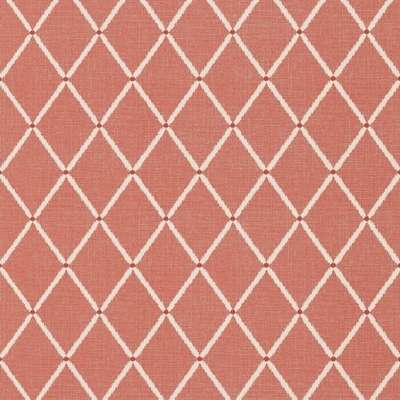 Thibaut Chestnut Hill T72637