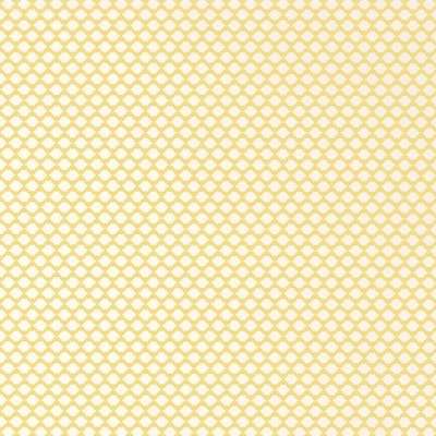 Thibaut Dynasty T75505