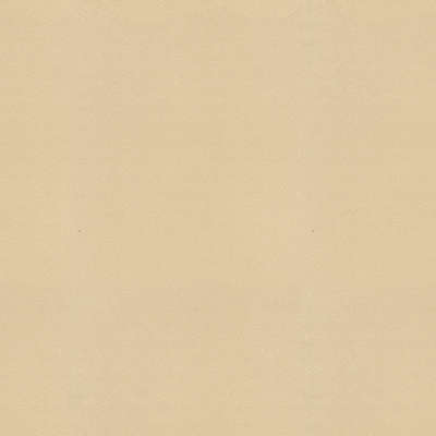 YIEN  Feerie 3504-17