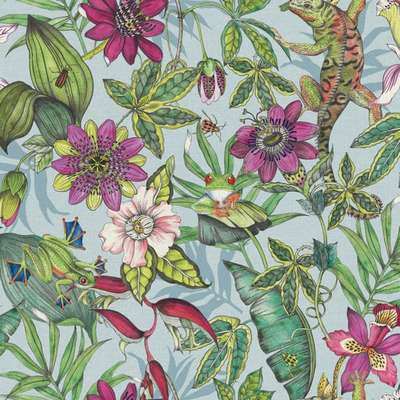York Blooms Second Edition Resource Library BL1701