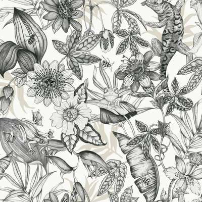 York Blooms Second Edition Resource Library BL1703