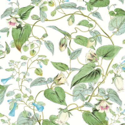 York Blooms Second Edition Resource Library BL1711