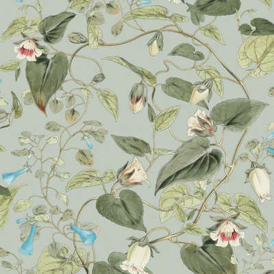 York Blooms Second Edition Resource Library BL1712