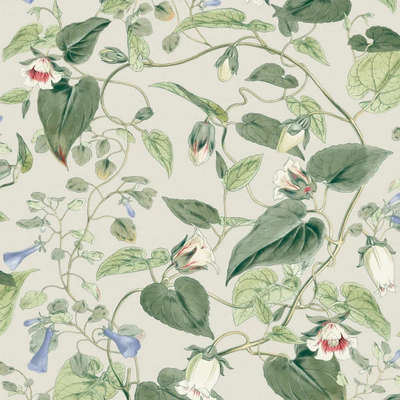 York Blooms Second Edition Resource Library BL1713