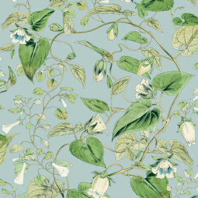 York Blooms Second Edition Resource Library BL1714