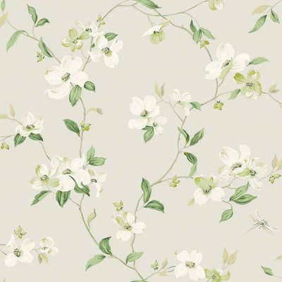 York Blooms Second Edition Resource Library BL1762