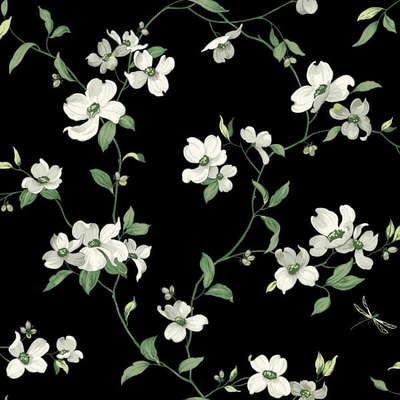 York Blooms Second Edition Resource Library BL1764
