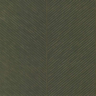 York Tropics Resource Library TC2693