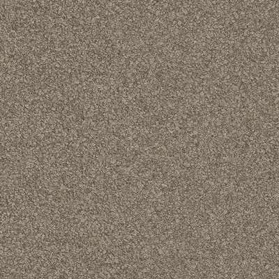 Zambaiti Parati Metropolis 2022 21137