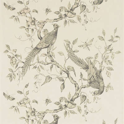 Zoffany Darnley 312848