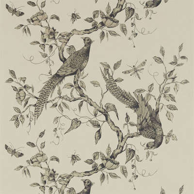 Zoffany Darnley 312849