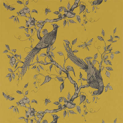 Zoffany Darnley 312884